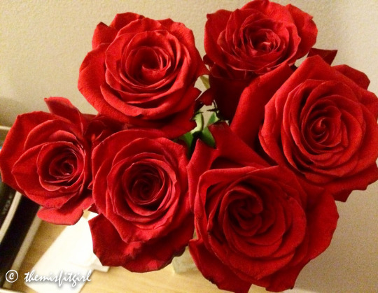 tumblr_odsf70jo781tspi4ao1_540