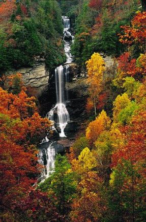 d557a33fd9e843c31e4ee81ab97c3bdc